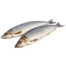 oseledets