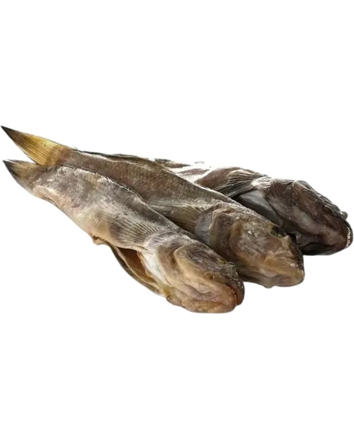 2220099700019
